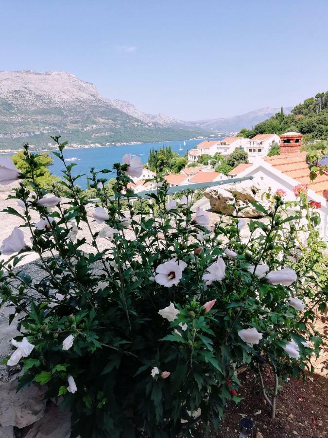 Amore Korčula Buitenkant foto